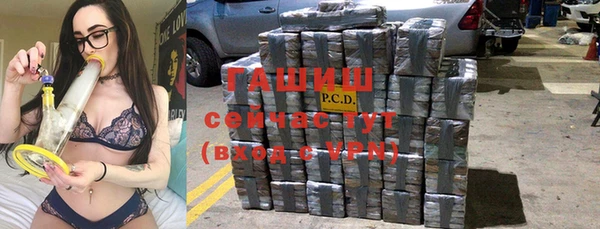 гидра Богородск