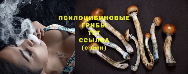 тгк Бугульма