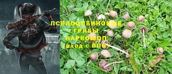 тгк Бугульма