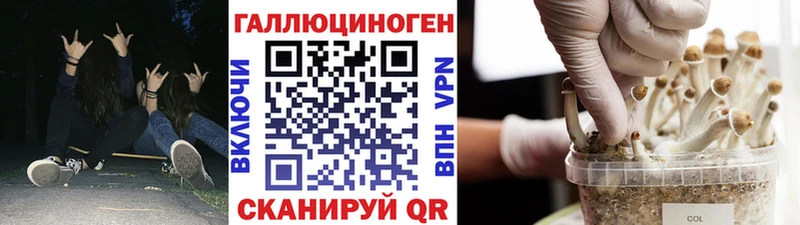 Псилоцибиновые грибы мухоморы  Купить закладки  Высоковск 