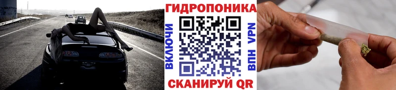 Купить где  Высоковск  Бошки марихуана THC 21% 